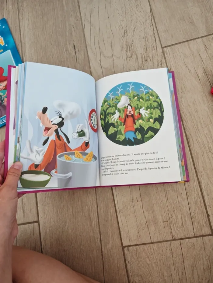 Lot de 5 livres Disney - photo numéro 6