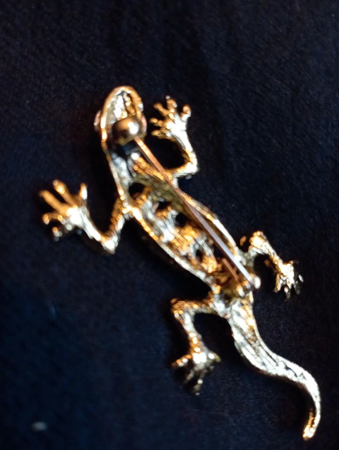 Idée cadeau 🎁: Broche en forme d'iguane - photo numéro 5