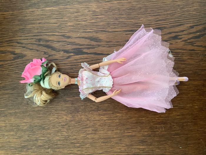 Barbie au bal des 12 princesses hadley et Barbie casse noisette - photo numéro 6