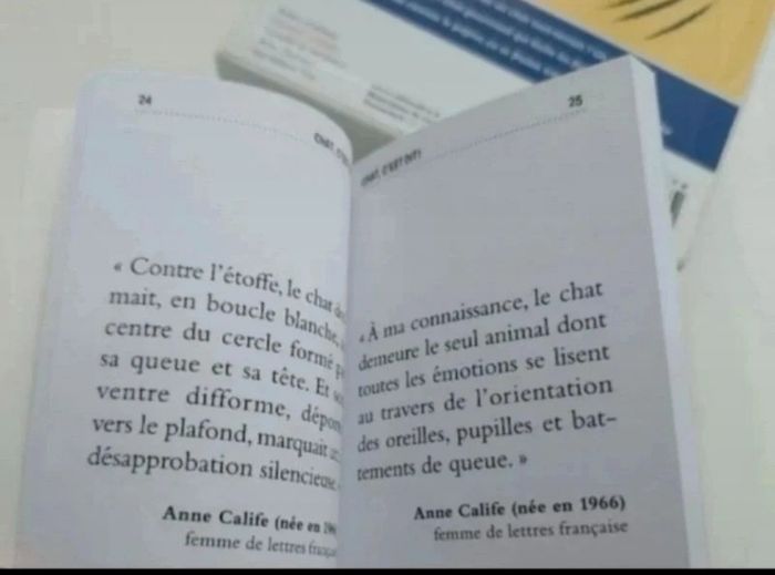 Coffret chat alors ! - photo numéro 8