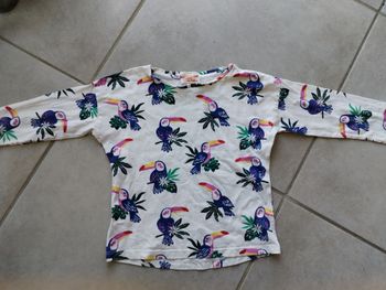 Tee-shirt Du pareil au même, taille 5 ans 