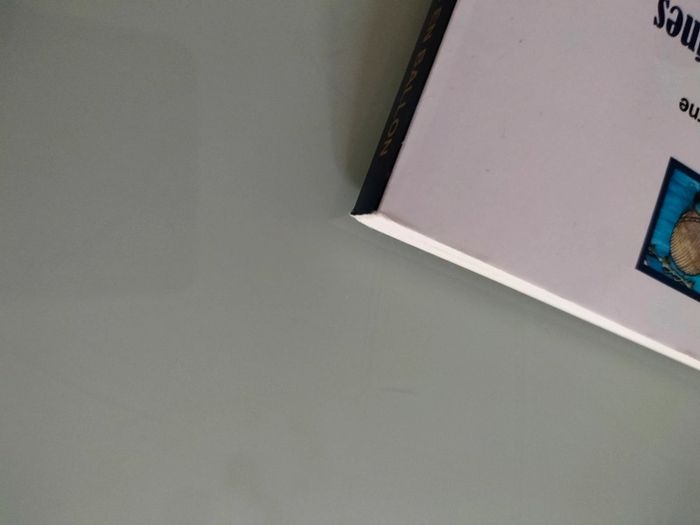 Cinq semaines en ballon de Jules verne - photo numéro 4