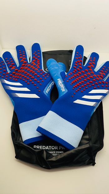 Gants de gardien predator