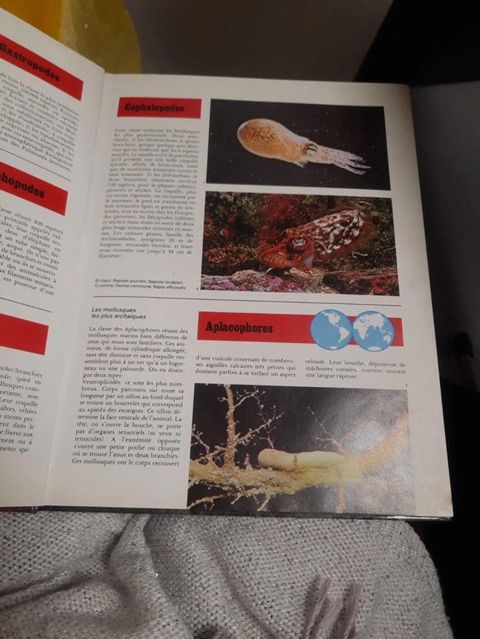 Grand livre illustré édition de lagora - photo numéro 8