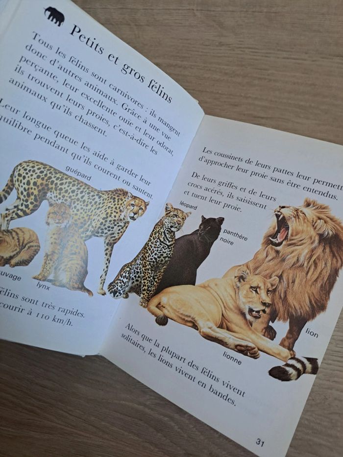 Ma première encyclopédie - photo numéro 2