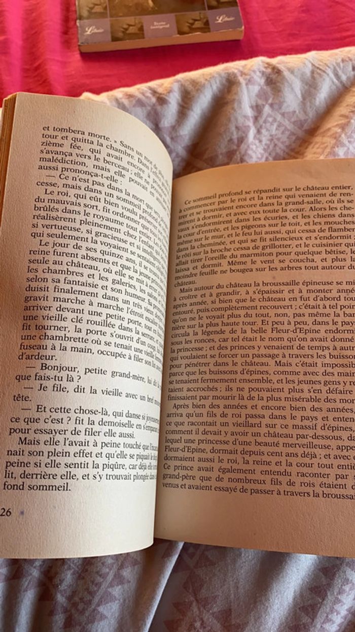 Livre Blanche Neige et autres contes de Grimm - photo numéro 3