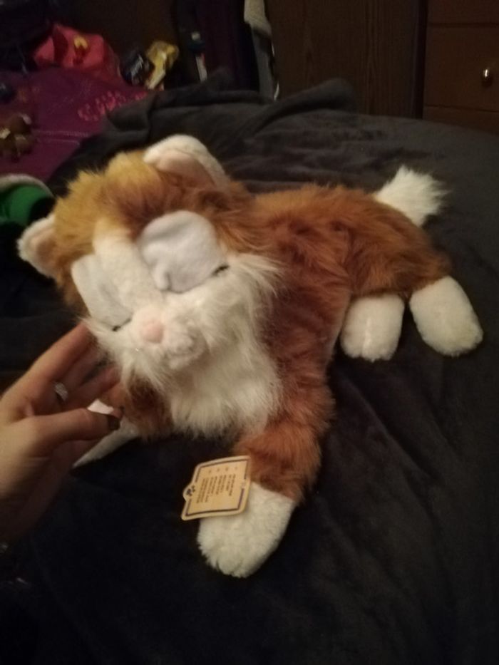 Peluche chat - photo numéro 2