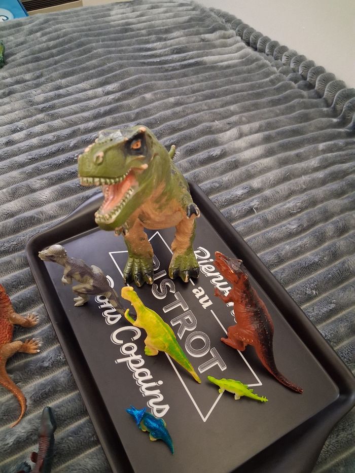 Lot de dinosaures - photo numéro 8