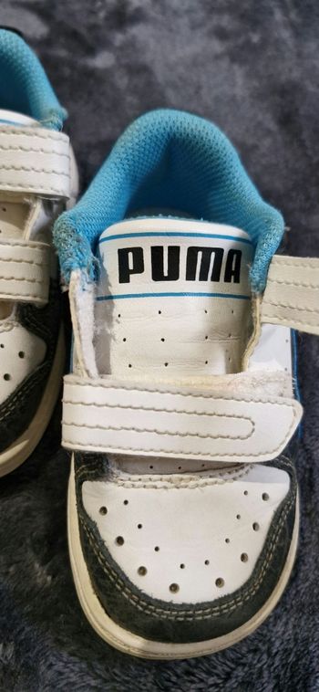 Basket puma taille 20