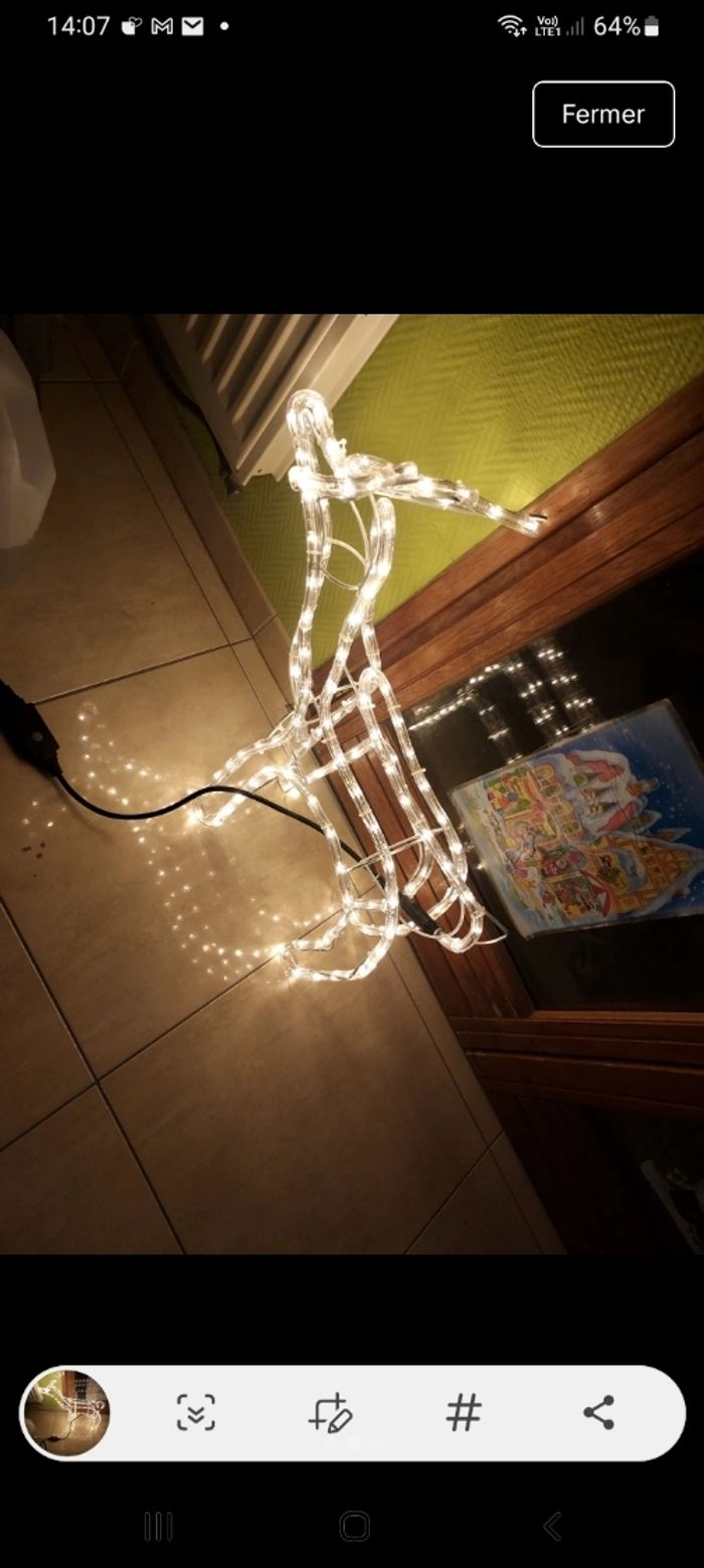 Cerf lumineux - photo numéro 2