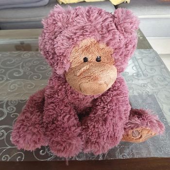 Ours brun peluche