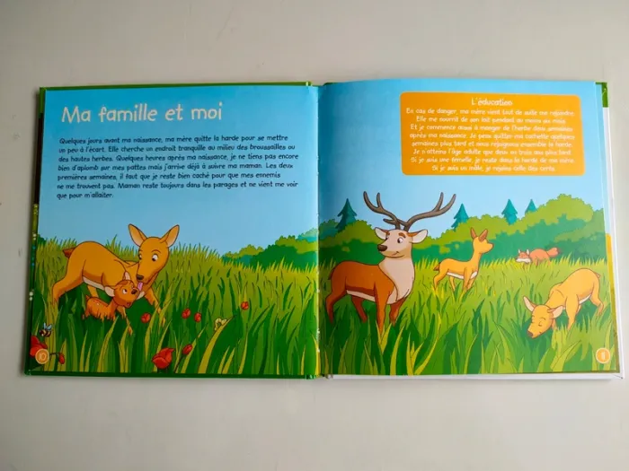 Livre animaux de la forêt - photo numéro 2