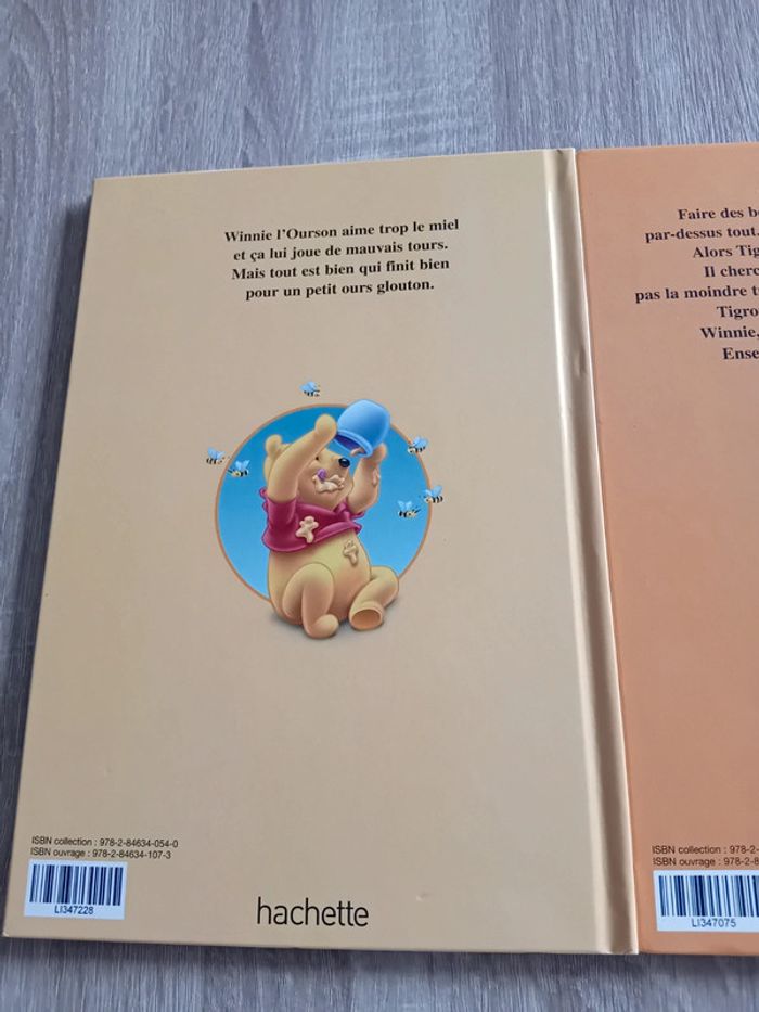 Lot de 2 livres Disney - photo numéro 3