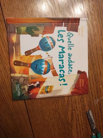 Livre enfant quelle audace les maracas
