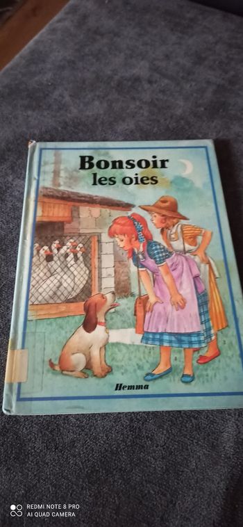 Livre bonsoir Les oies