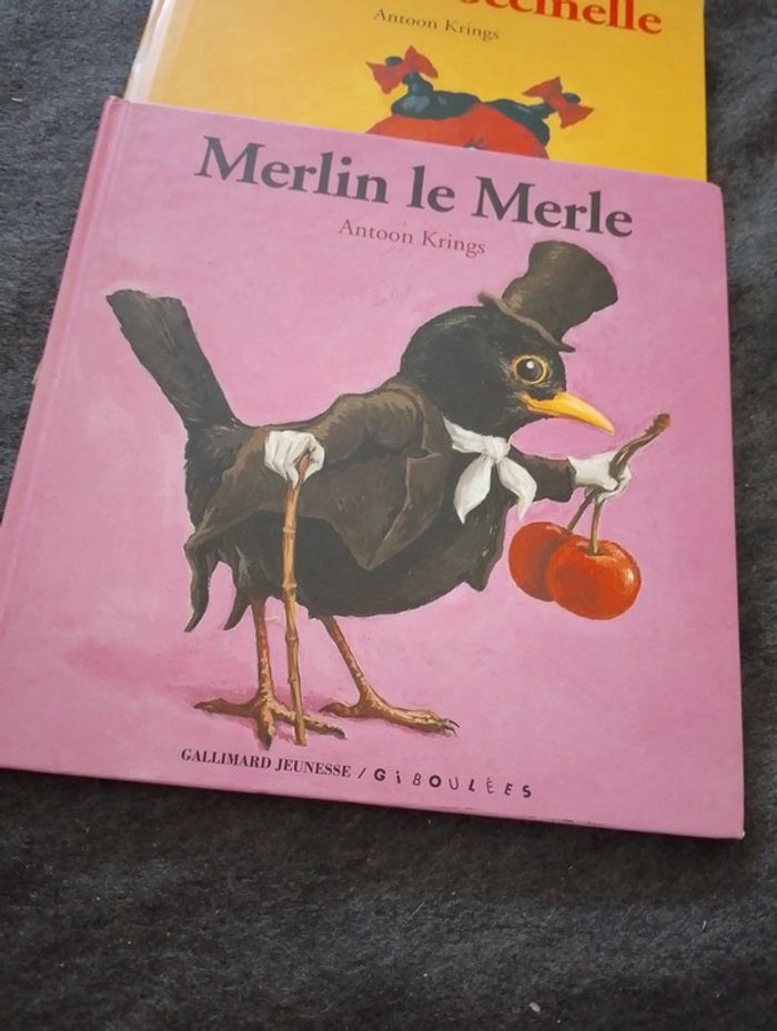 Merlin le merle - photo numéro 2