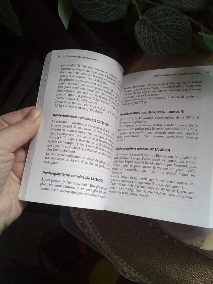 Joli collier sautoir BoLa + livre la grossesse - photo numéro 10