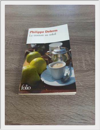 Philippe Delerm - Le trottoir au soleil