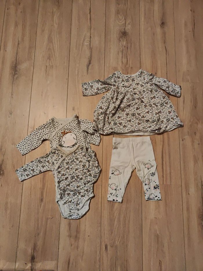 Ensemble DPAM oiseau