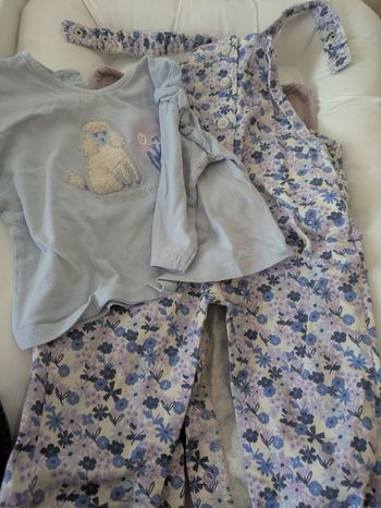 Ensemble TAO 12 mois