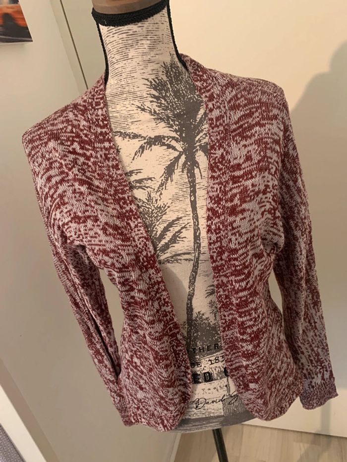 Gilet bordeau chiné