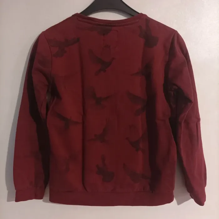 Sweat Kwell motifs oiseaux 12 ans - photo numéro 2