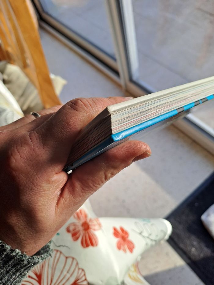 Les 101 dalmatiens - photo numéro 4