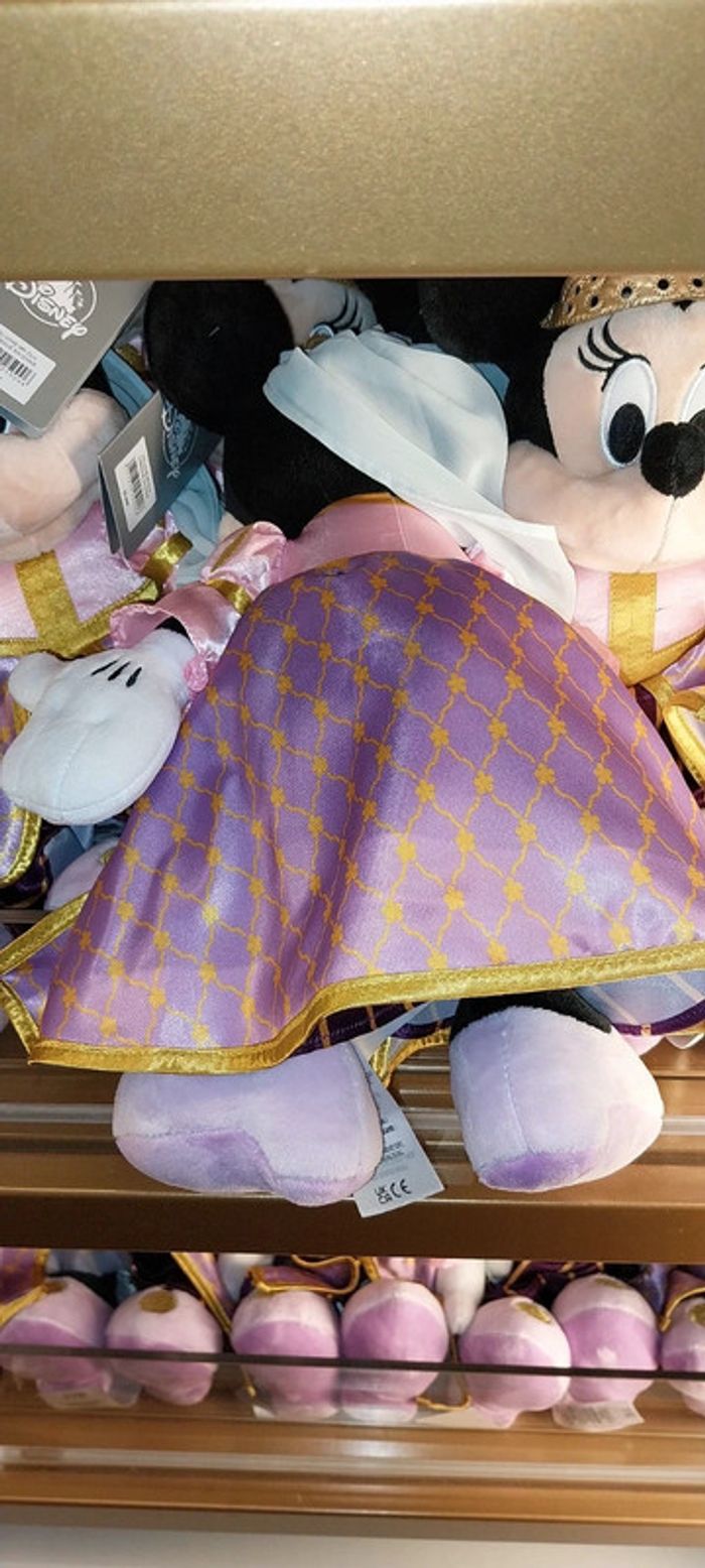 Pick-up Minnie Disneyland Hotel - photo numéro 2