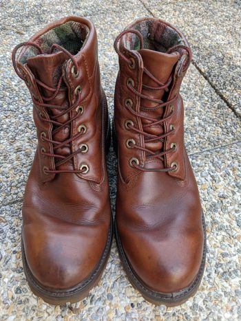 Botte cuir Timberland Marron