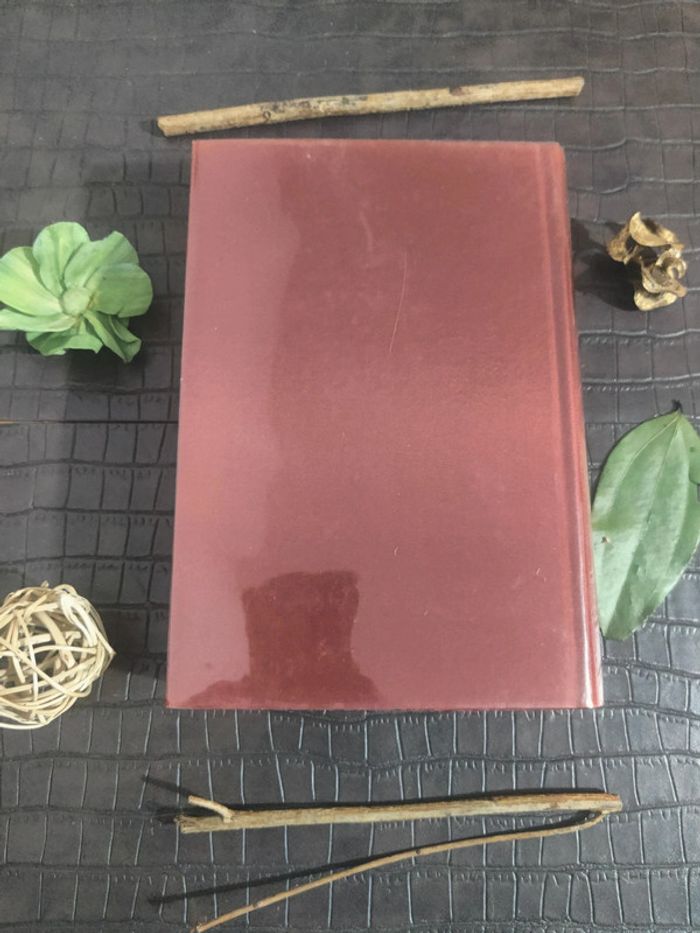 E.T.A Hoffmann - Contes et Dessins / Volume 2, Tomes I et II - photo numéro 5