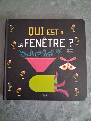 Livre. Qui est à la fenêtre ?
