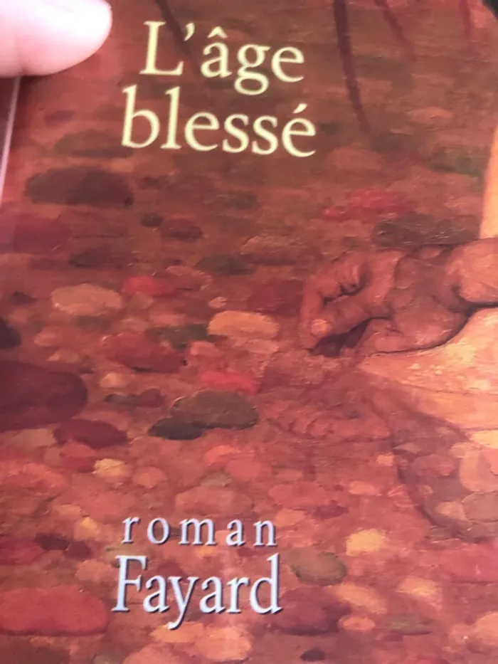 Roman l’âge blessé 📕 - photo numéro 4