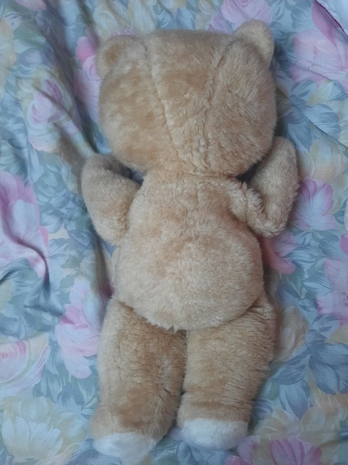 Ours en peluche - photo numéro 3