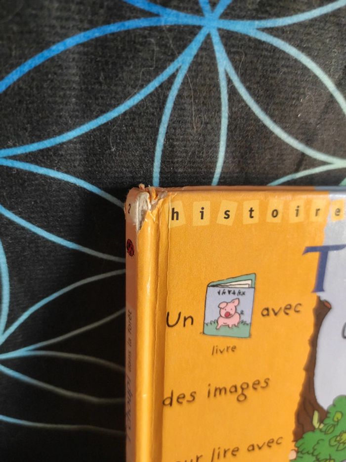 T’choupi dans la forêt - Histoire à deux voix - photo numéro 2