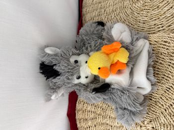 Doudou marionnette âne HISTOIRE D'OURS poussin marionnette à doigt