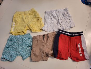 Lot 5 shorts