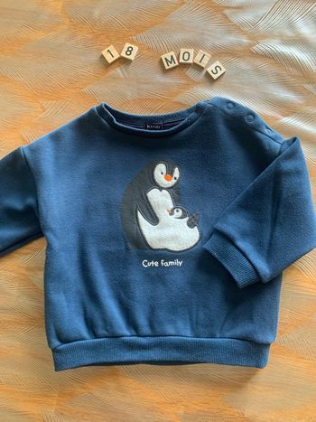 Pull garçon 18 mois