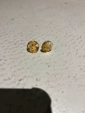 Boucles oreilles fleurs séchées