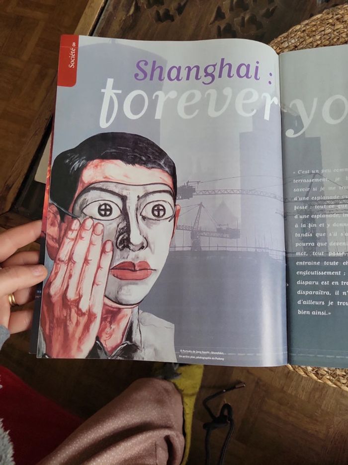 Globe Mémoires. Chine Mutante. - photo numéro 7