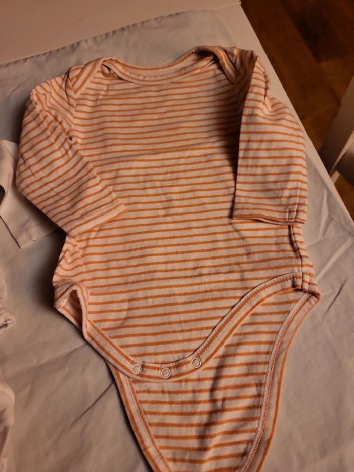 Lot de 3 bodys tao 6 mois - photo numéro 5