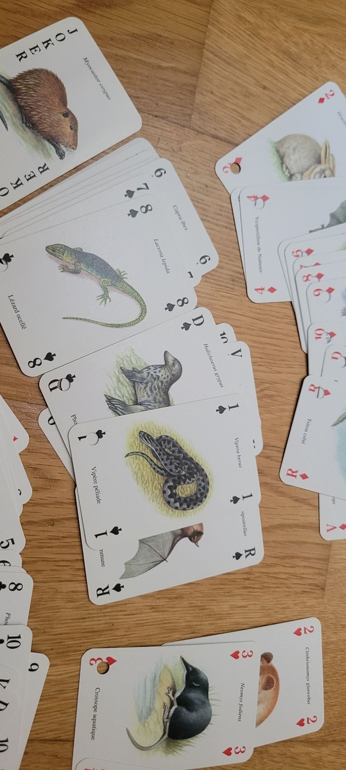 Jeu de 52 cartes animaux - photo numéro 5