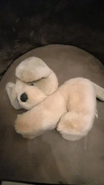 Lot de 2 peluches