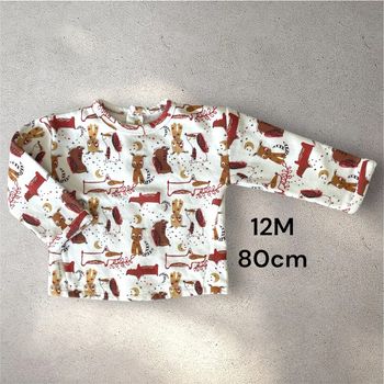 Pull chien petit béguin T12M 80cm