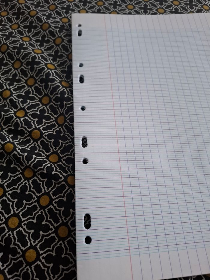 Feuilles double - photo numéro 3