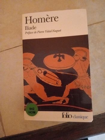 Iliade de homère