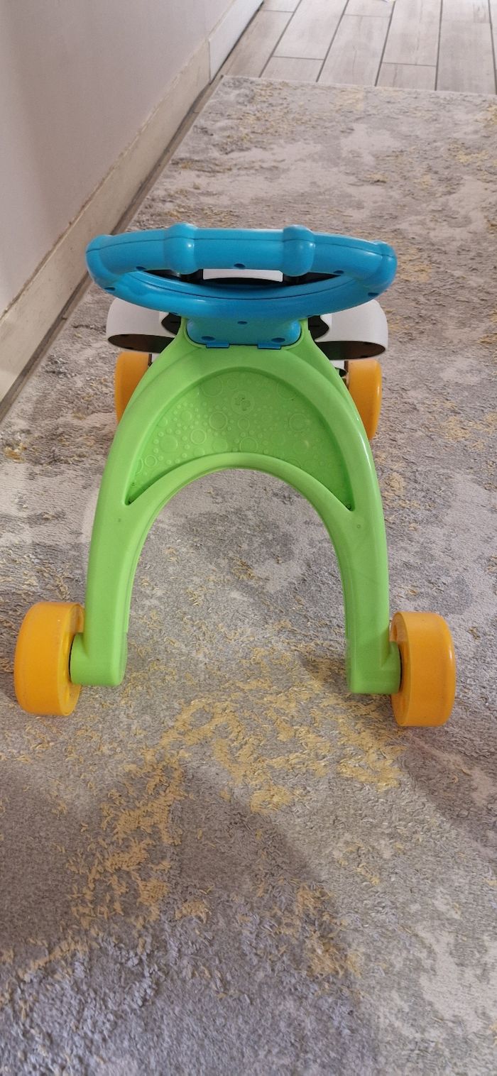 Trotteur zèbre - photo numéro 4