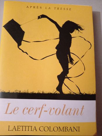 Le cerf-volant 