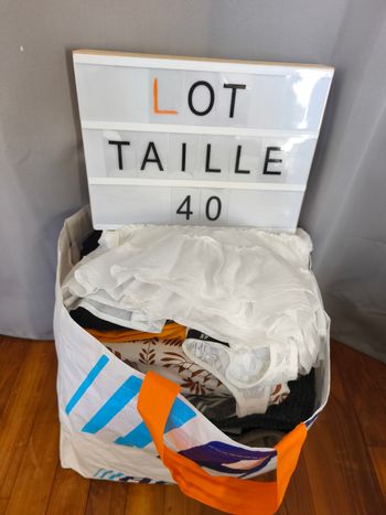 Lot de vêtements femme taille 40 