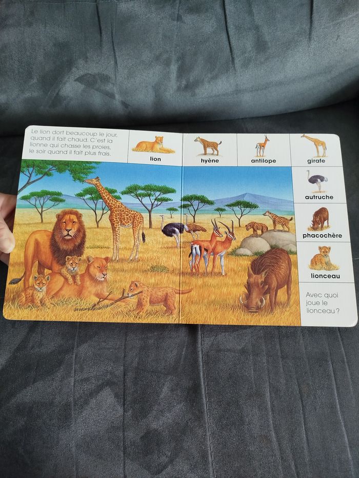 Livre bébé - photo numéro 4