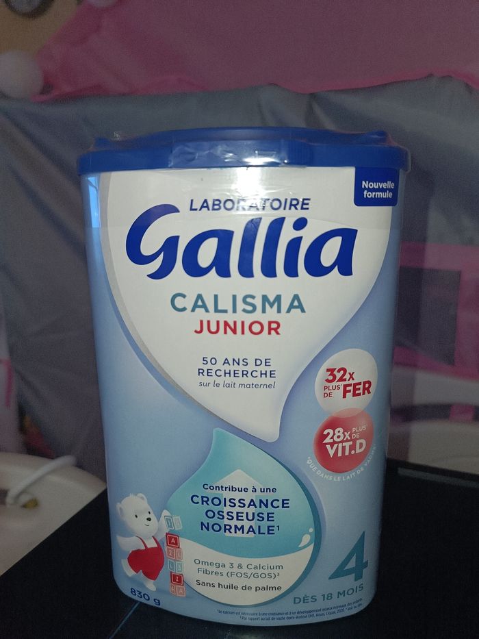 Gallia 4 - photo numéro 5